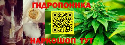гидра Ставрополь