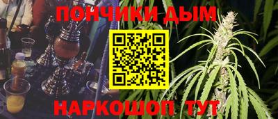 гидра Ставрополь