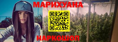 гидра Ставрополь
