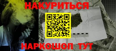 гидра Ставрополь