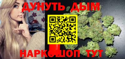 гидра Ставрополь