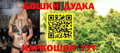 гидра Ставрополь