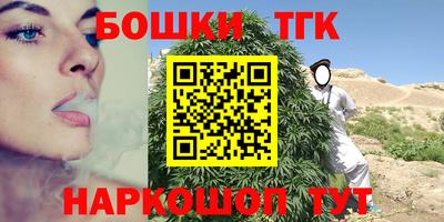 гидра Ставрополь