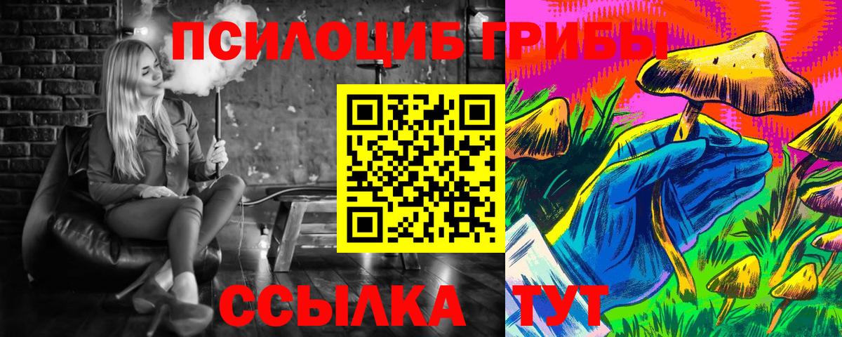 Псилоцибиновые грибы мицелий Новосибирск
