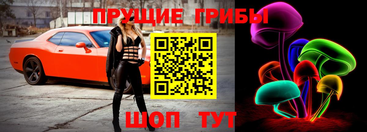 Псилоцибиновые грибы ЛСД  закладка  Новосибирск  Псилоцибиновые грибы GOLDEN TEACHER  Вход с VPN 